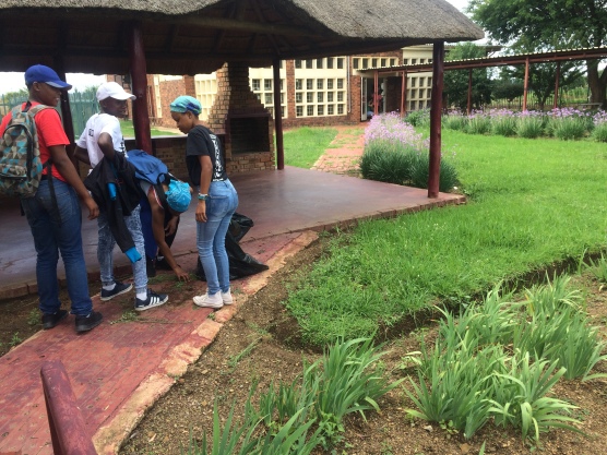 MI students collecting weeds and trash around the Old Age Home property.